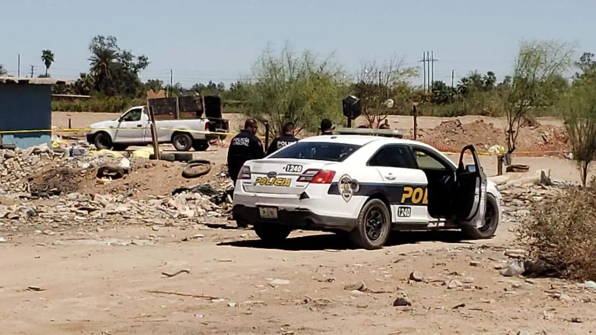 WhatsApp Image 2022-04-26 at 3.11.43 PM