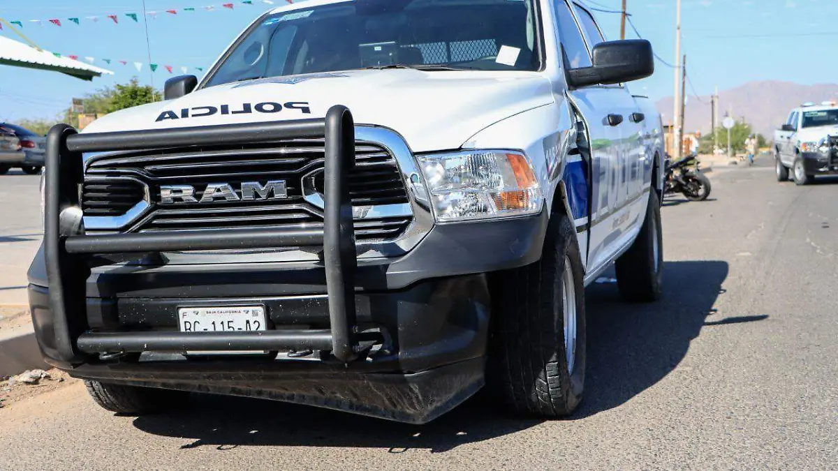 WhatsApp Image 2022-08-31 at 9.50.44 AM