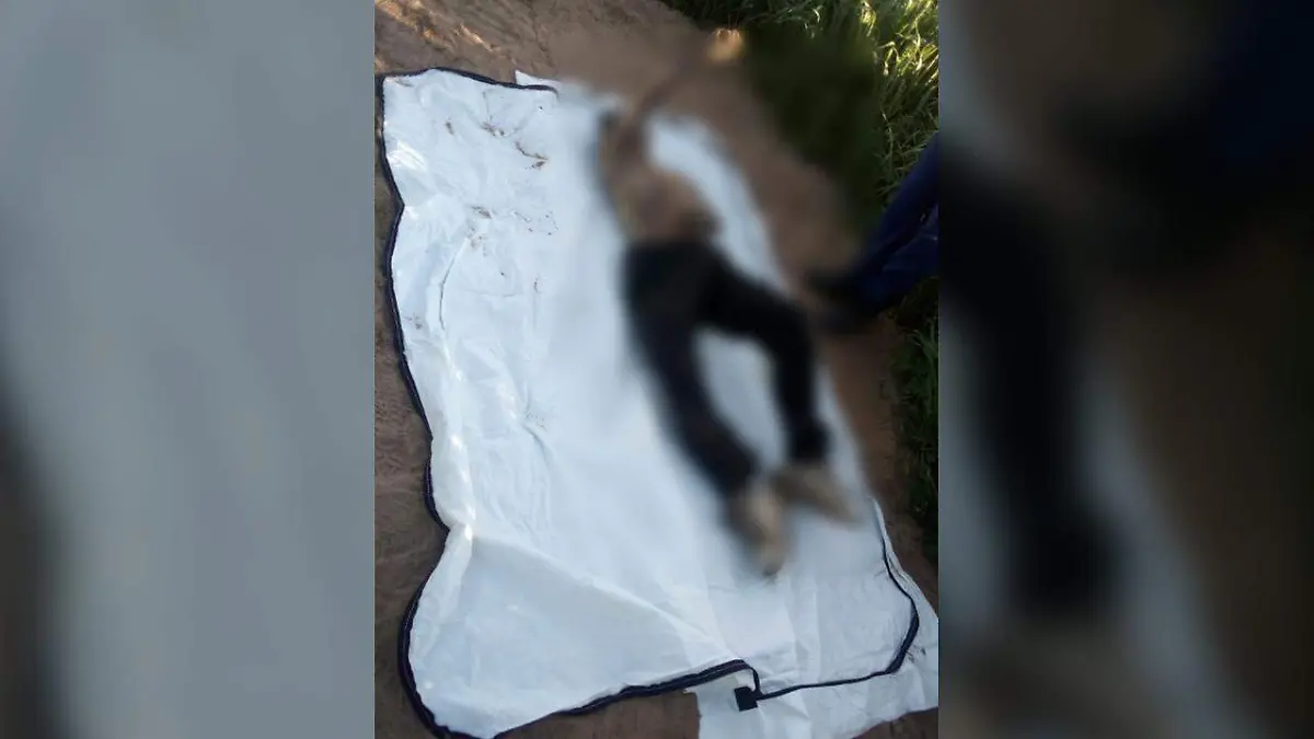 muerto guadalupe victoria