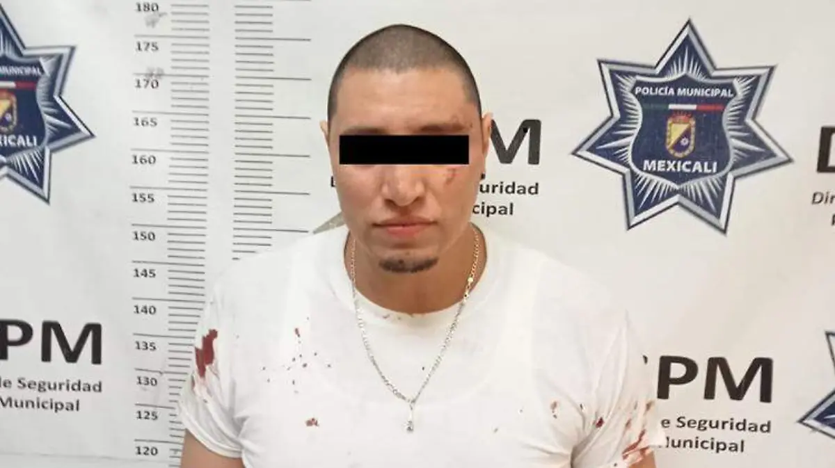 WhatsApp Image 2022-03-15 at 12.54.21 PM