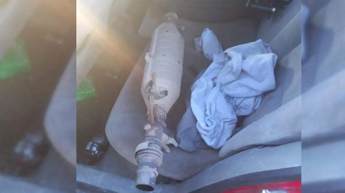 WhatsApp Image 2022-02-10 at 2.22.12 PM