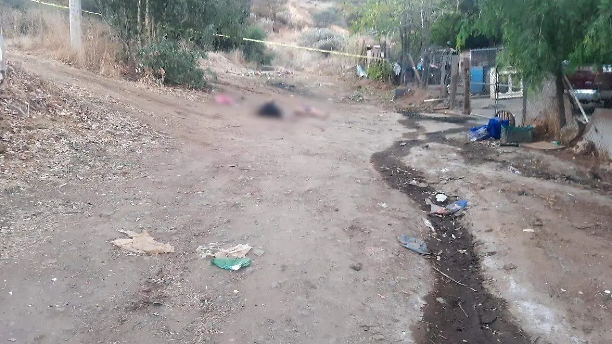 WhatsApp Image 2020-11-17 at 11.30.34 AM