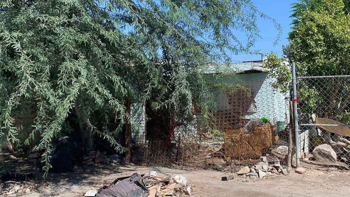 WhatsApp Image 2022-09-02 at 11.25.27 AM