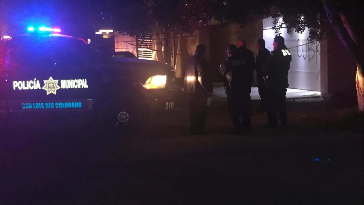 9873ae0c-bd51-412e-8014-8ac666557b58