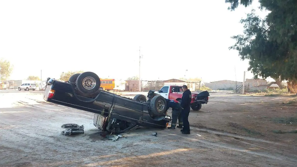 WhatsApp Image 2020-01-13 at 12.18.50 PM