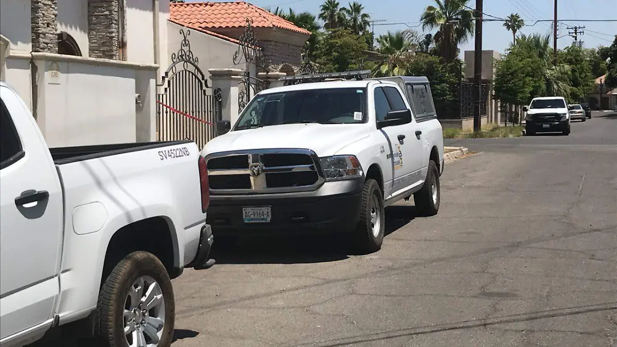 WhatsApp Image 2018-05-09 at 1.18.17 PM