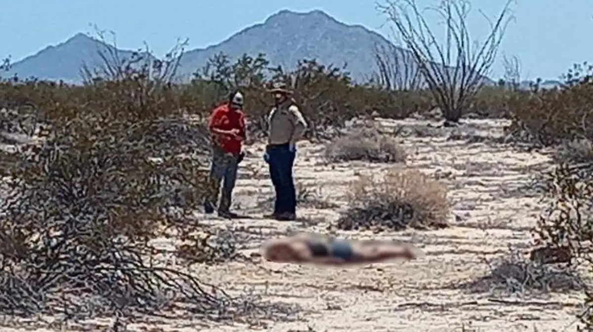 618441e8-880d-4852-9020-84dc4b28971c