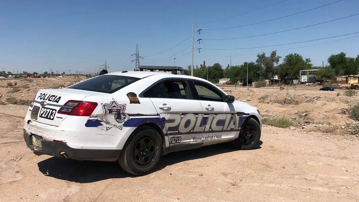 WhatsApp Image 2021-09-12 at 1.48.58 PM