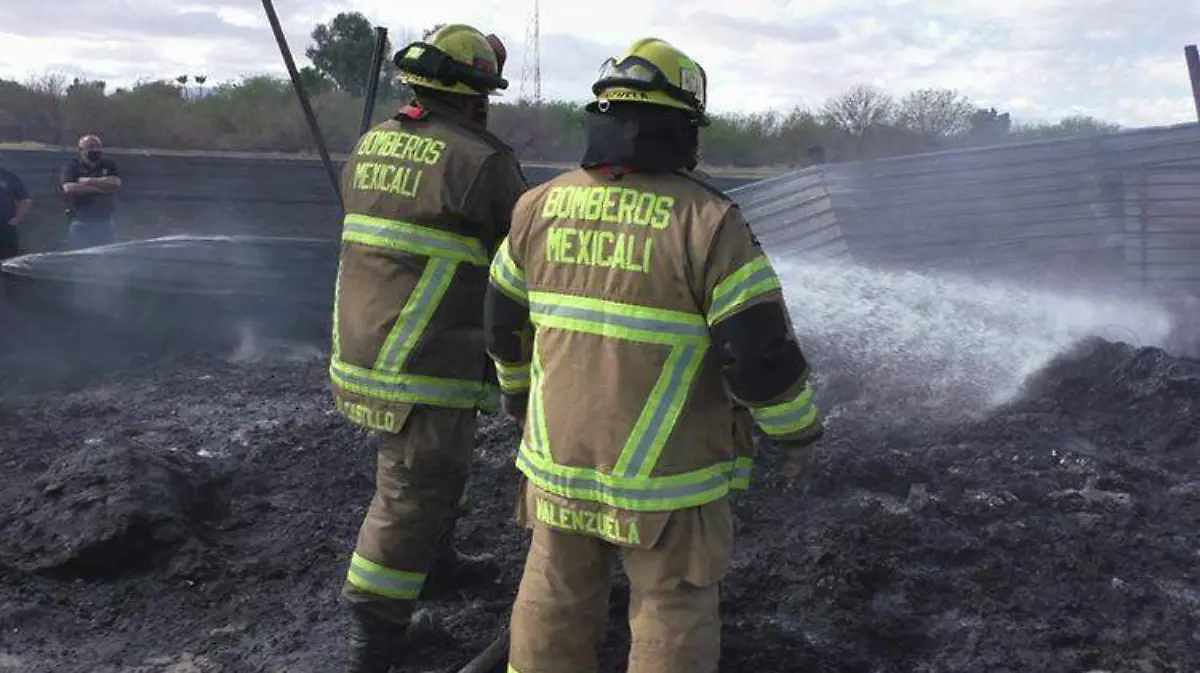 WhatsApp Image 2022-03-04 at 2.36.14 PM