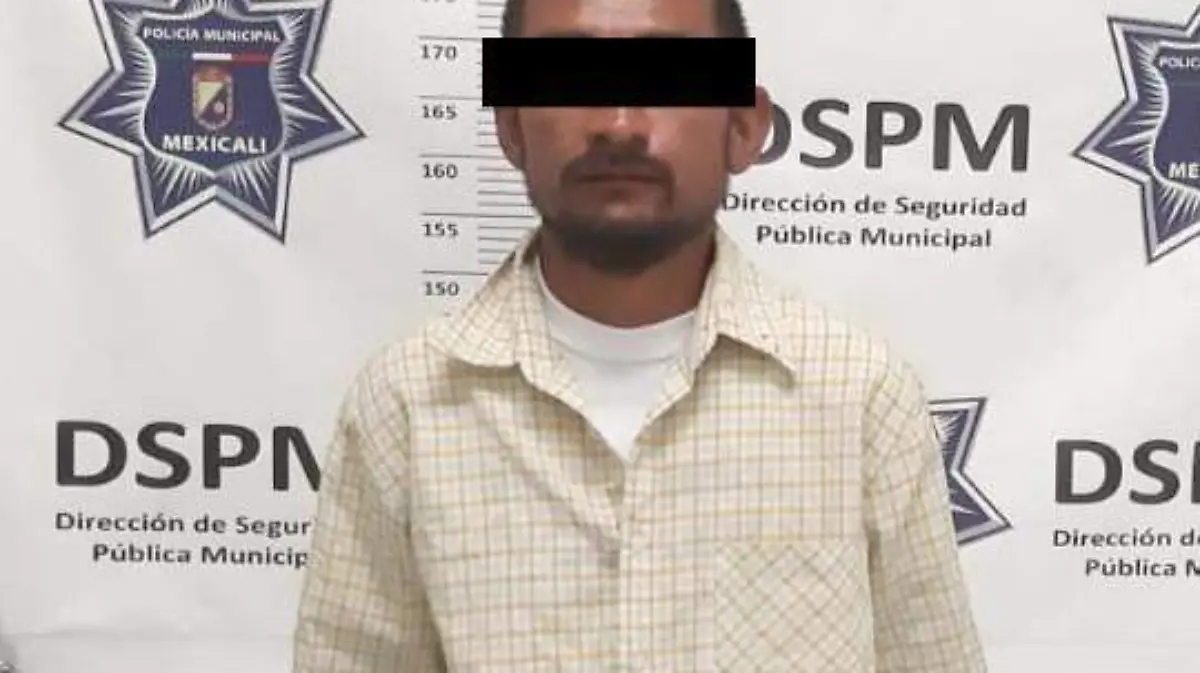 WhatsApp Image 2019-05-08 at 1.29.46 PM