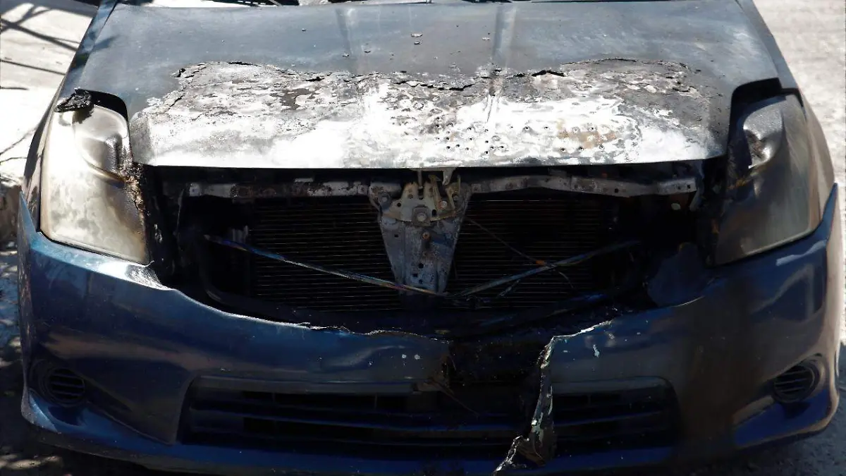 WhatsApp Image 2022-08-14 at 12.39.36 PM