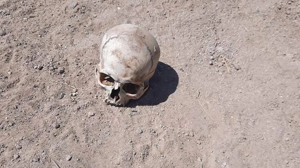 Localizan osamenta sobre carretera a Tijuana