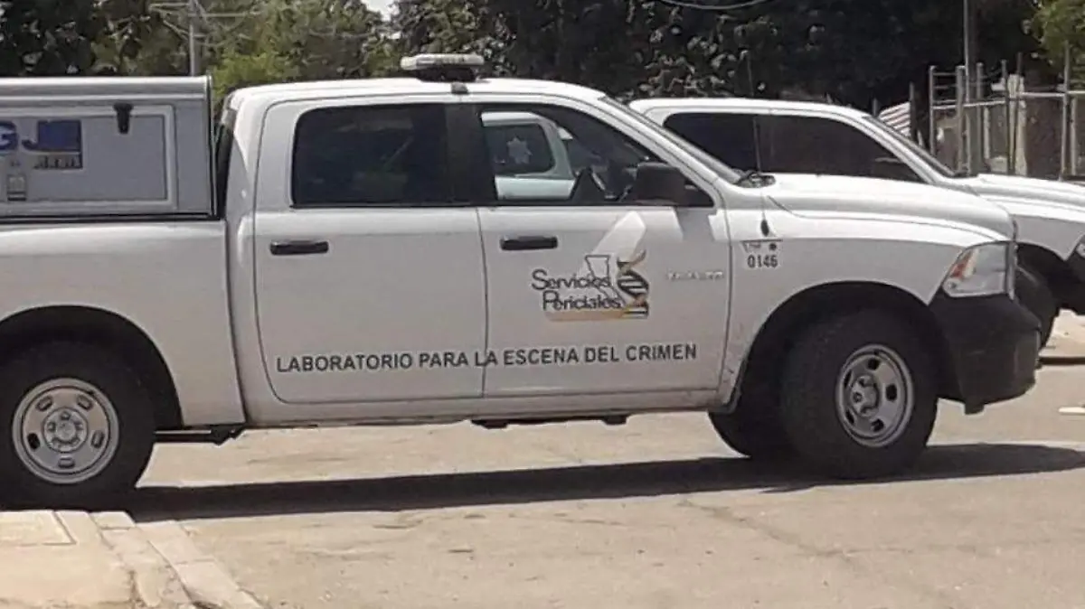 WhatsApp Image 2022-04-24 at 2.06.40 PM