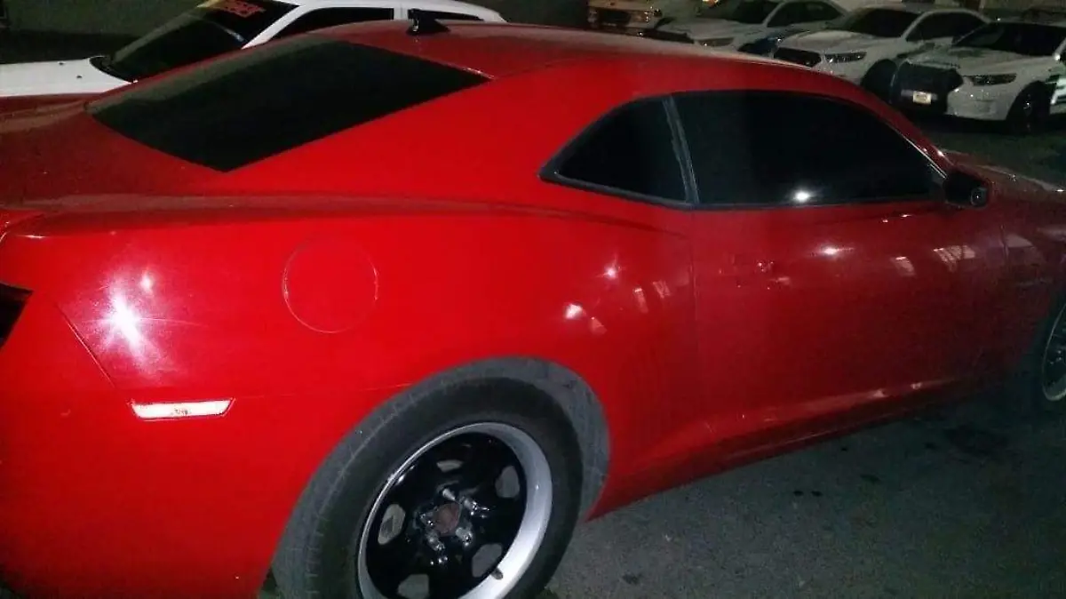 WhatsApp Image 2019-01-25 at 09.31.25