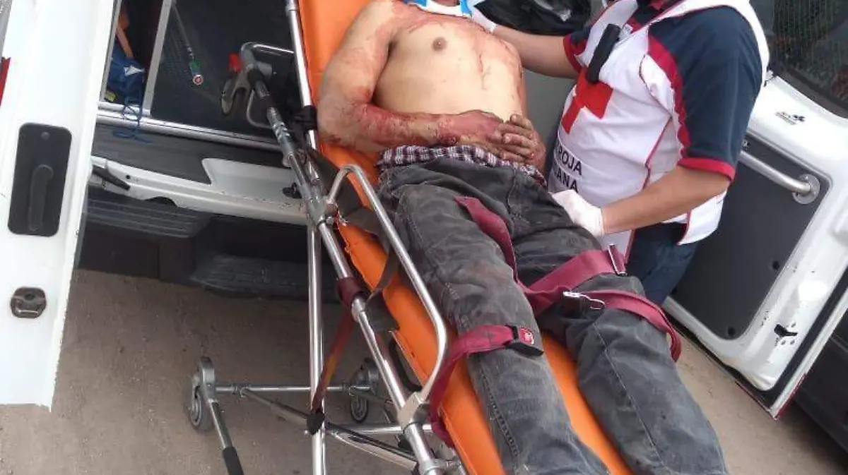 WhatsApp Image 2021-02-01 at 3.00.26 PM