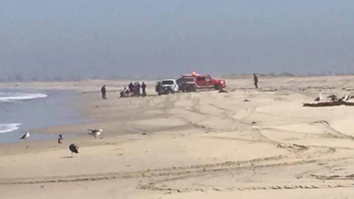 WhatsApp Image 2019-08-25 at 10.42.45 AM