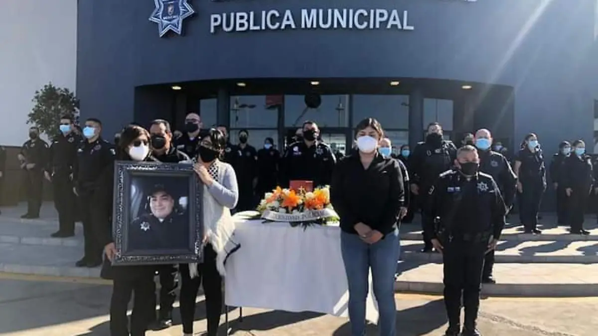 WhatsApp Image 2021-01-11 at 2.15.01 PM