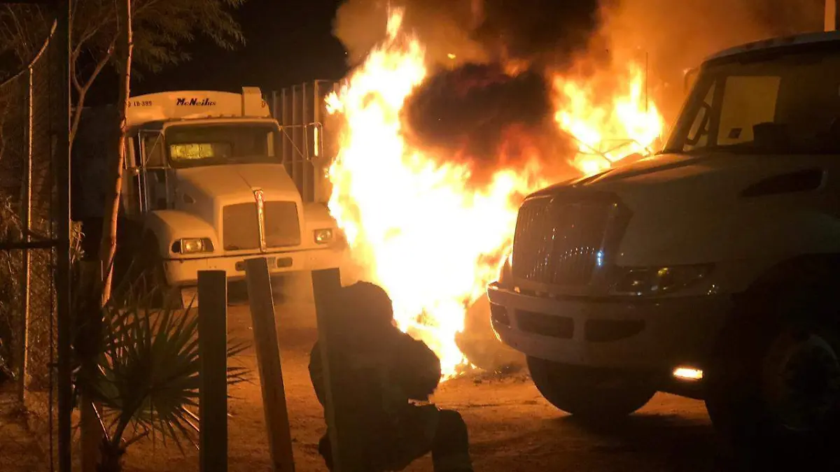 WhatsApp Image 2019-02-15 at 12.06.18