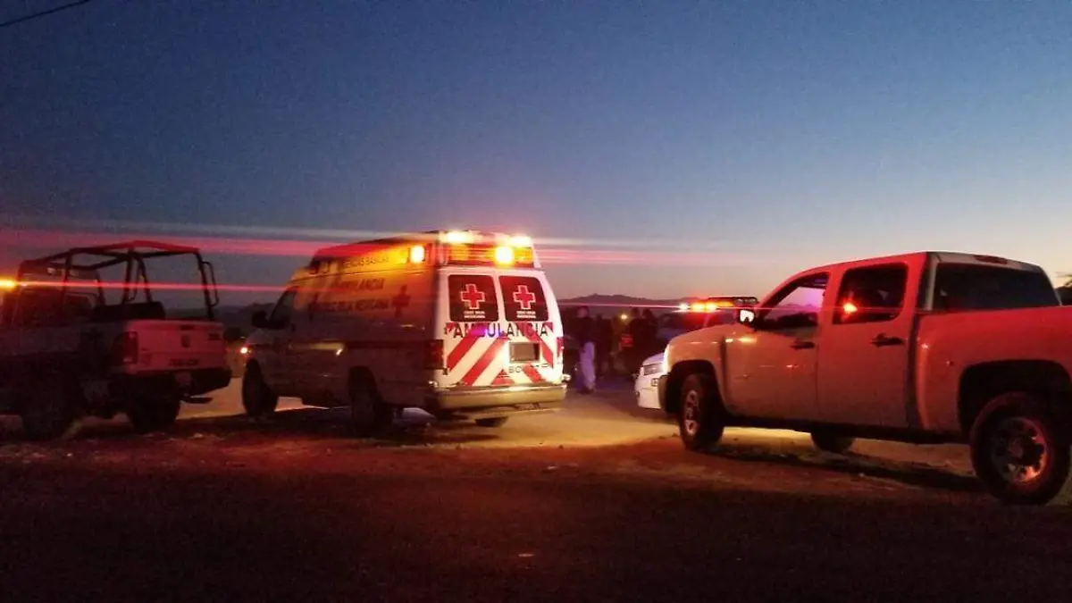 WhatsApp Image 2021-05-27 at 11.00.21 AM