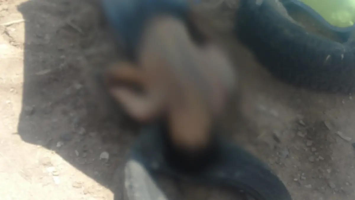 muerte
