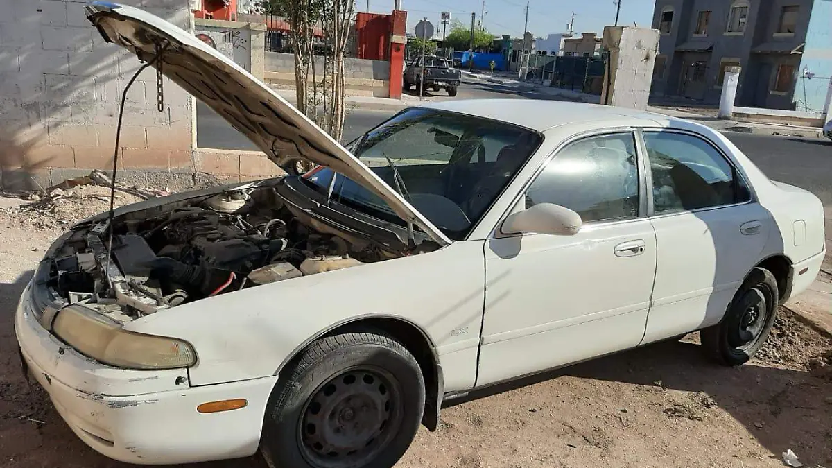 WhatsApp Image 2019-09-04 at 9.33.35 AM