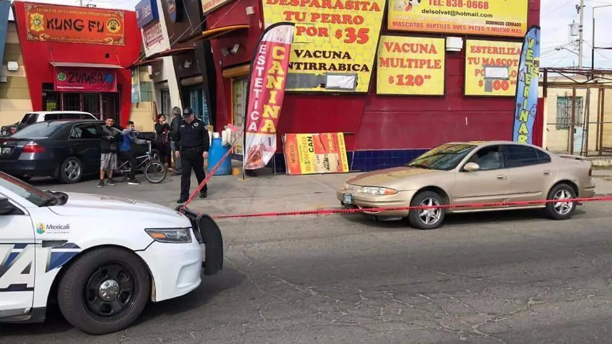 WhatsApp Image 2019-02-20 at 14.57.28