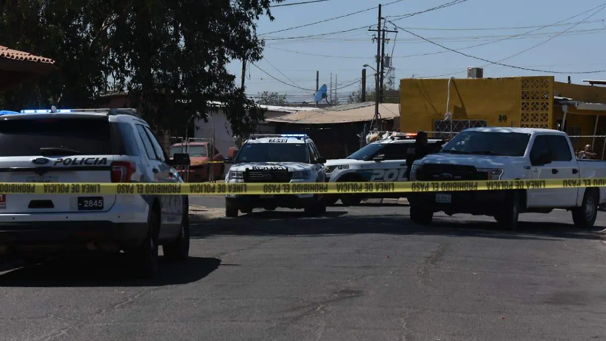 WhatsApp Image 2019-07-15 at 11.34.54 AM