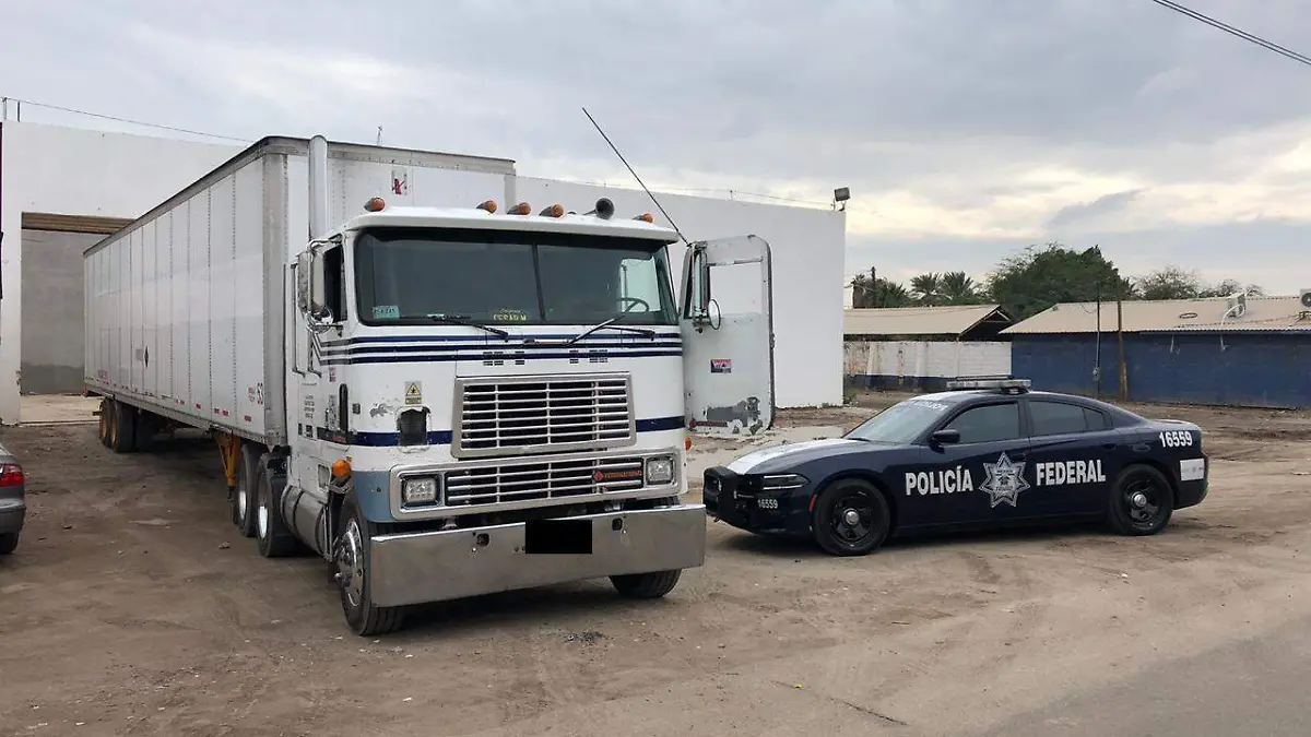 WhatsApp Image 2019-12-18 at 2.23.20 PM (1)