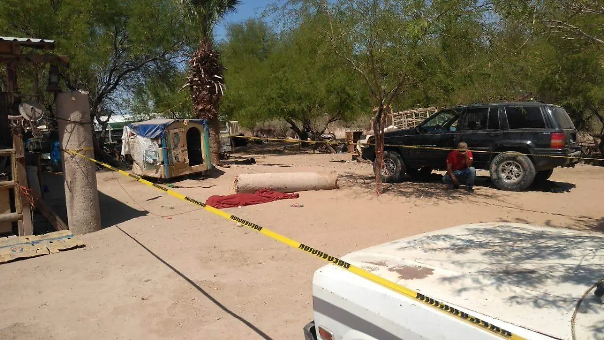 WhatsApp Image 2021-03-26 at 3.28.44 PM