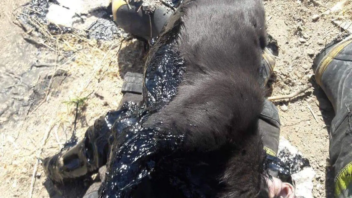 WhatsApp Image 2021-05-09 at 10.25.07 AM