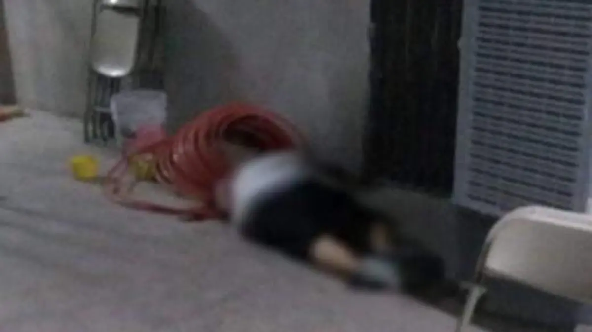 WhatsApp Image 2020-05-14 at 9.35.45 AM