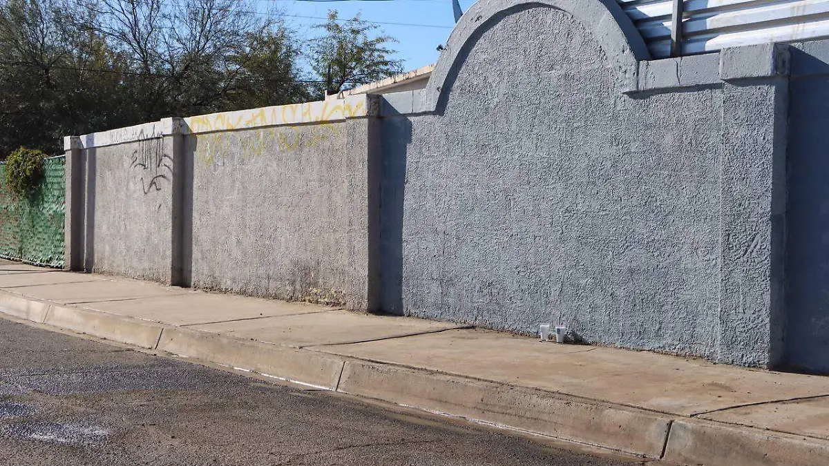 WhatsApp Image 2023-01-29 at 9.35.59 AM