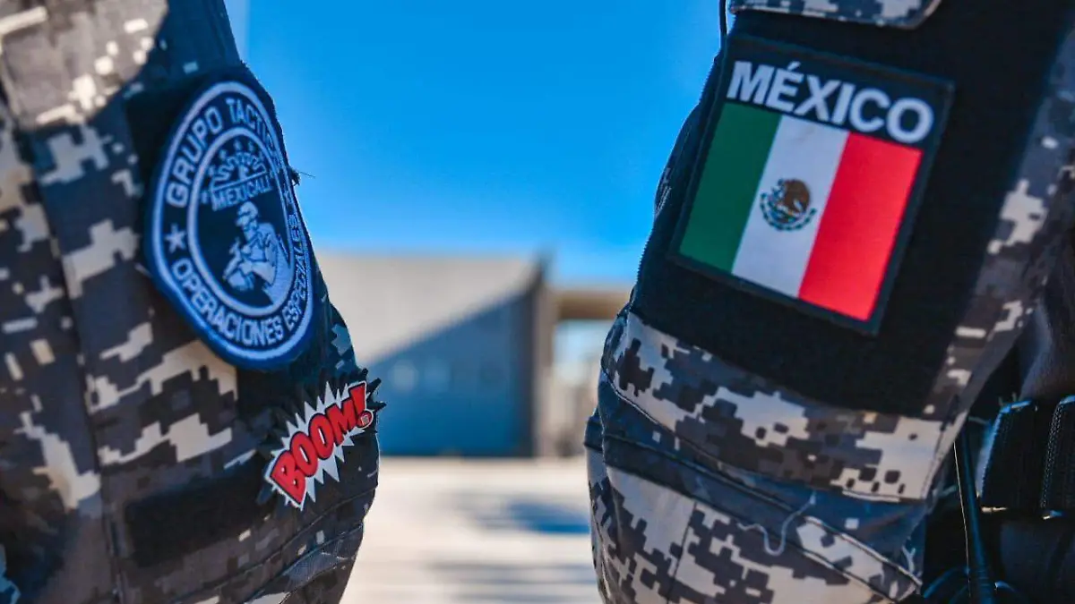 WhatsApp Image 2020-01-10 at 10.09.59 AM (1)