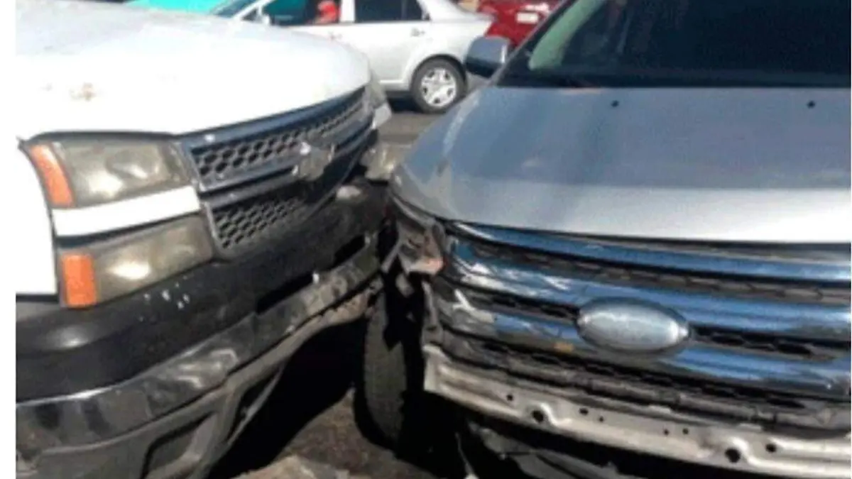 56531096_2317928991812277_7836885176989777920_n