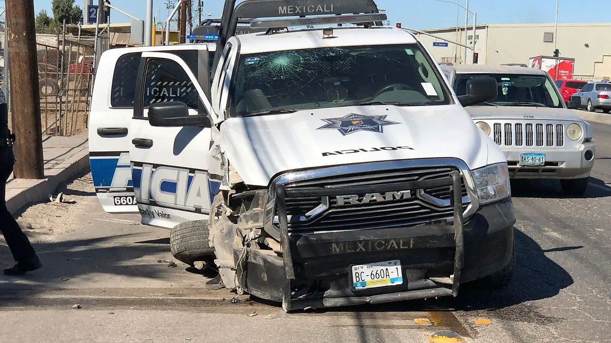 WhatsApp Image 2022-02-18 at 11.07.26 AM