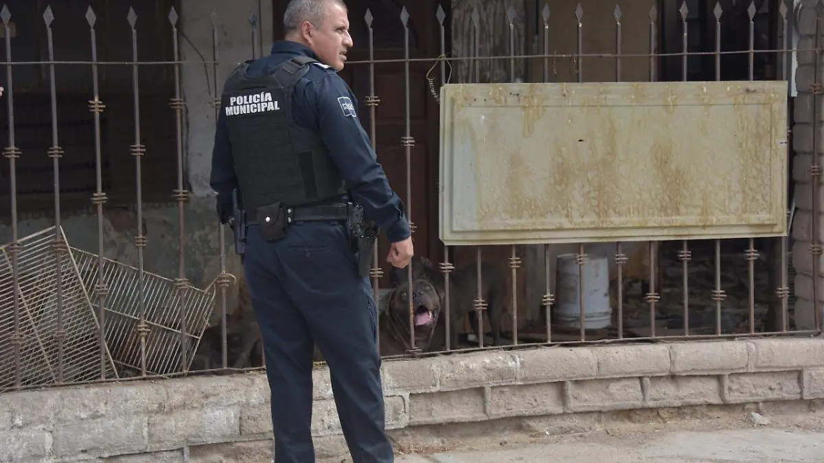 Rescatan a dos perros en casa abandonada