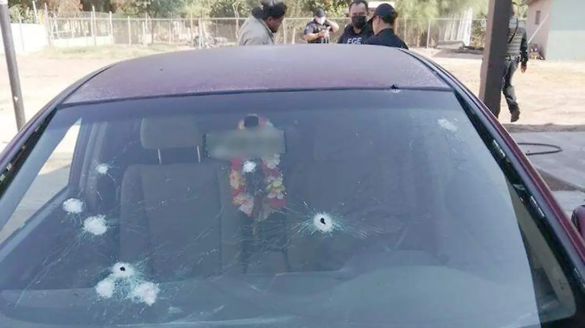 a64ee115-e544-4a7a-80b7-9c9d01127923