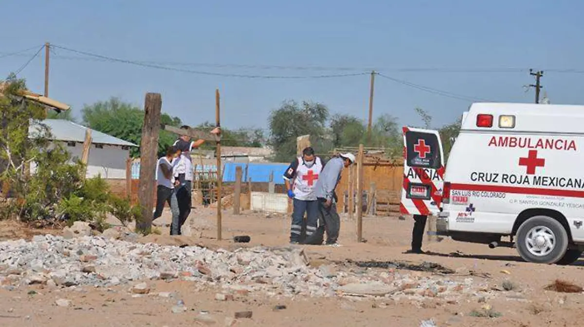 0d1650b4-afc6-4ce7-98dd-41ef949e4bba