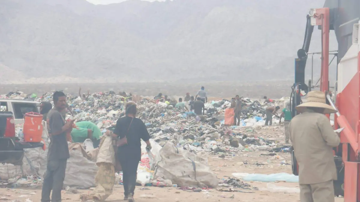 WhatsApp Image 2022-07-25 at 1.04.57 PM