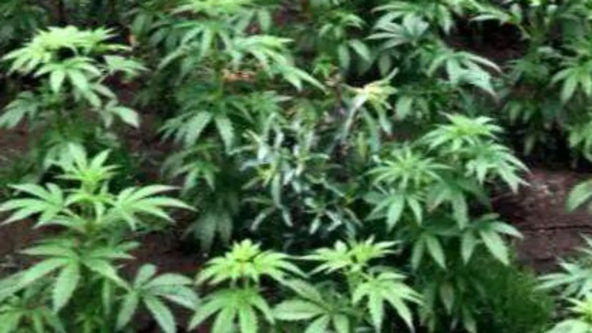 8031c810-8271-48a2-bd08-c5b589ac64e4