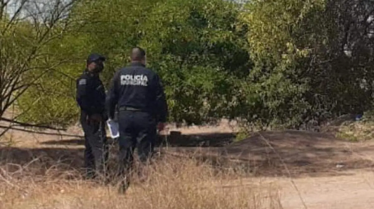 WhatsApp Image 2022-03-30 at 11.09.24 AM