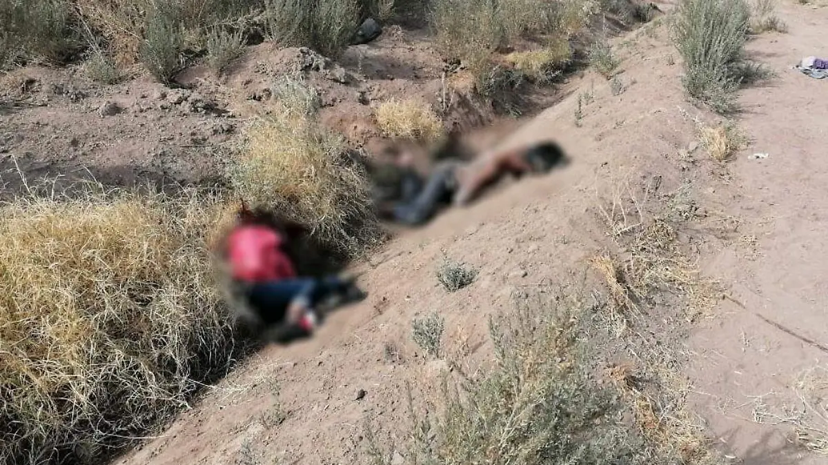 WhatsApp Image 2021-01-07 at 12.57.28 PM