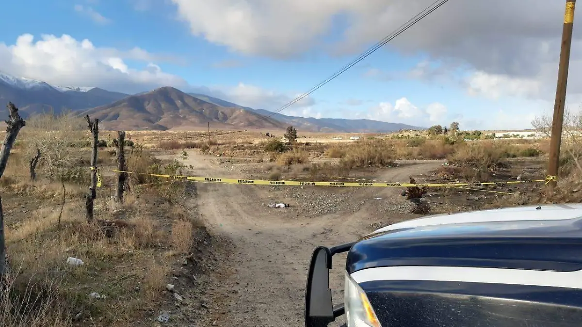 WhatsApp Image 2021-01-26 at 3.23.25 PM