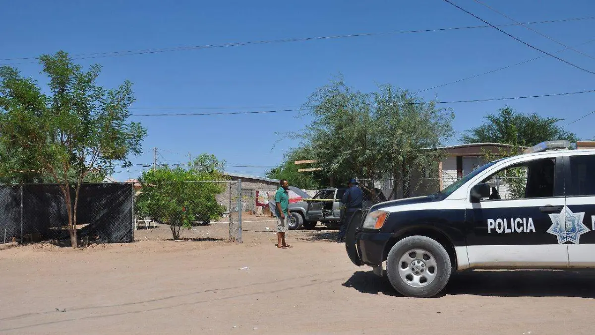 WhatsApp Image 2018-09-09 at 14.55.11