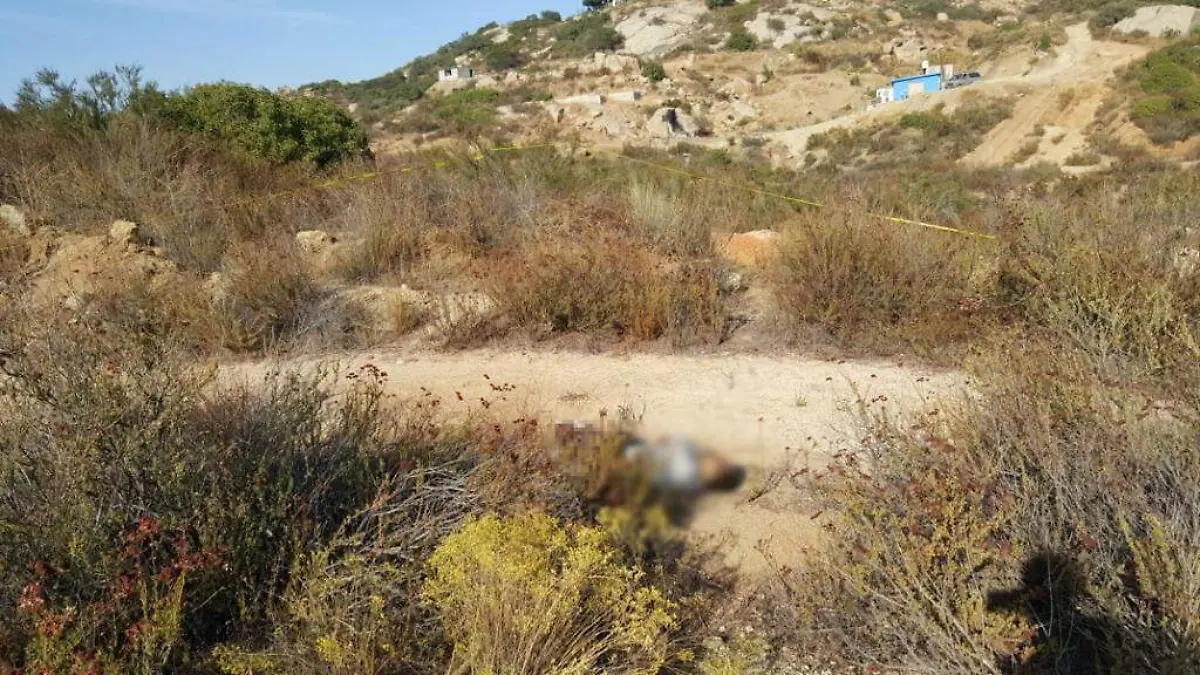 WhatsApp Image 2019-10-27 at 17.42.05