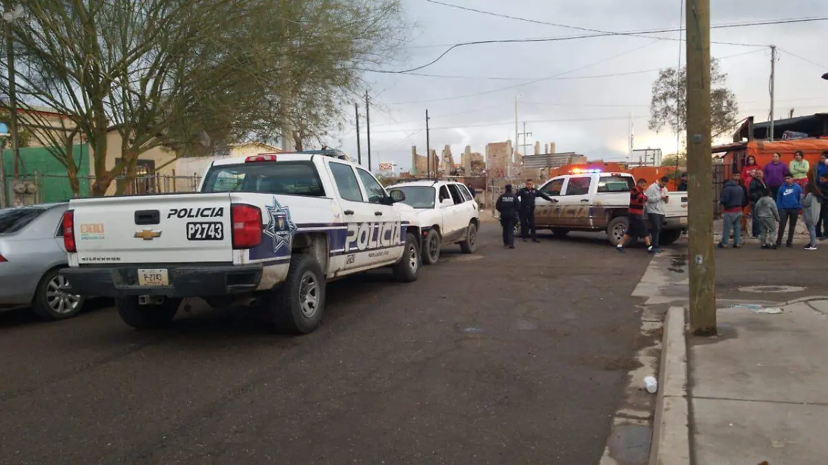 2e4f46ee-b2d7-433e-b139-fc4d5c182d18