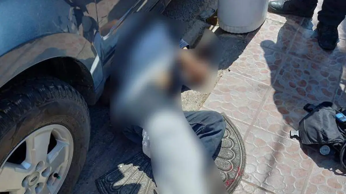 c6edb8d9-b04d-426c-9032-2bf18af8e3a8