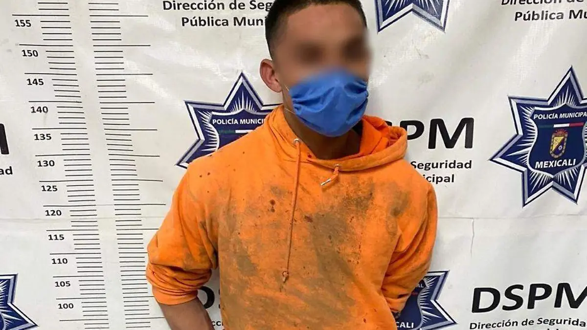 WhatsApp Image 2021-01-07 at 9.03.25 AM