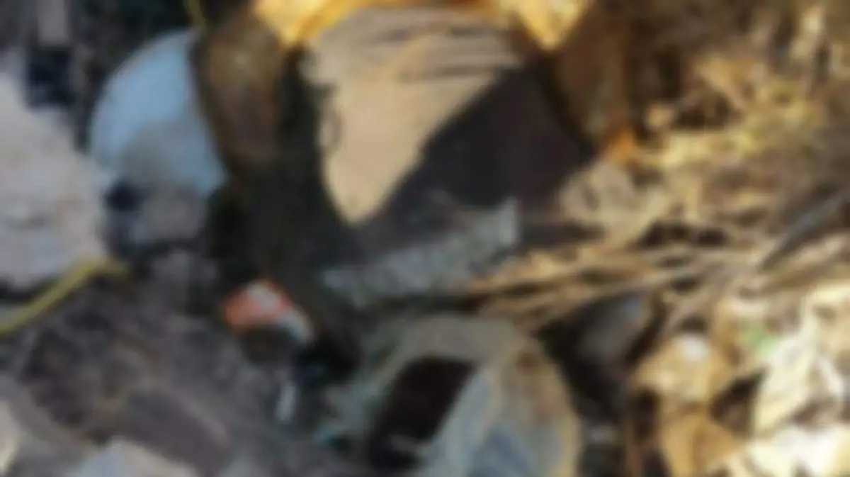 WhatsApp Image 2018-10-24 at 11.36.34