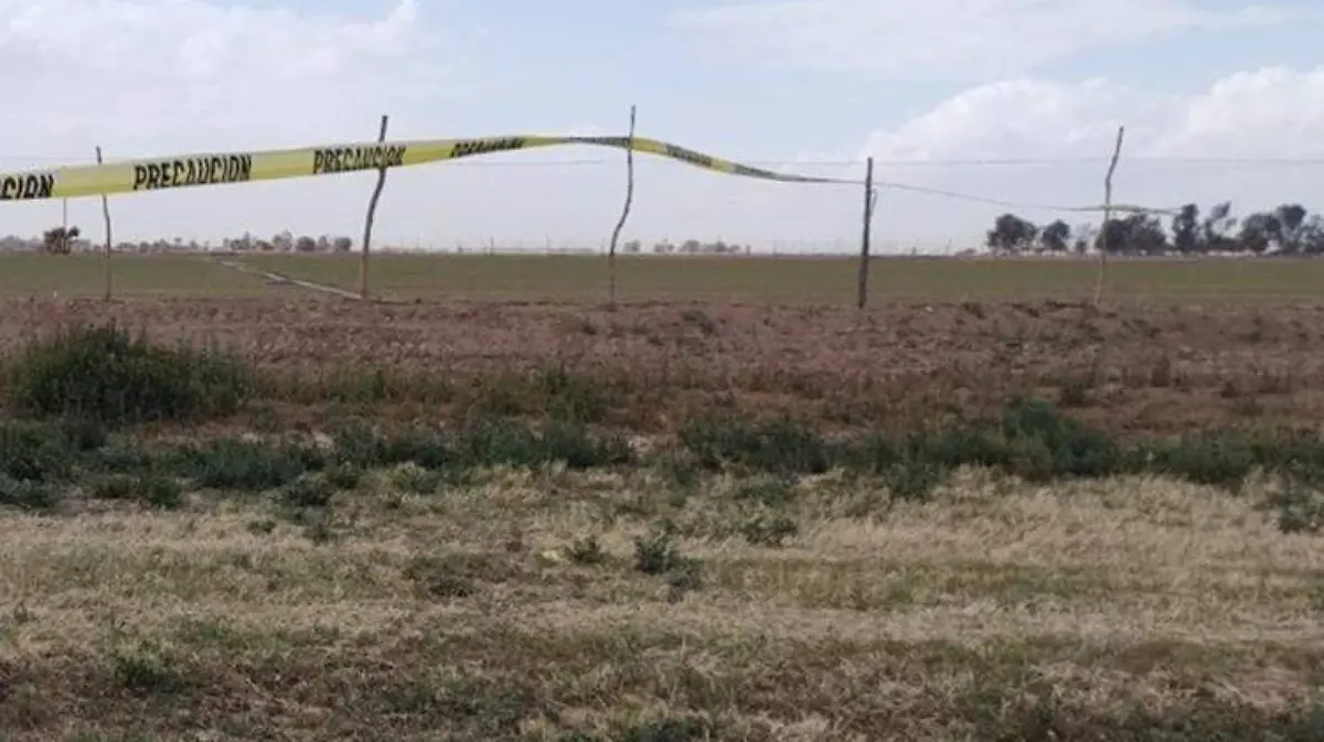 WhatsApp Image 2022-02-23 at 3.36.33 PM